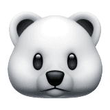 Apple 🐻‍❄️