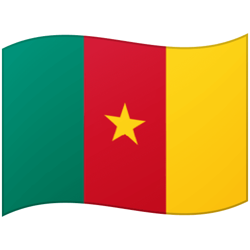 Google 🇨🇲