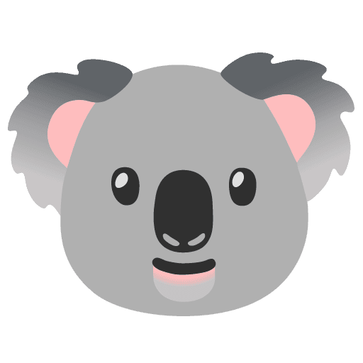 Google 🐨