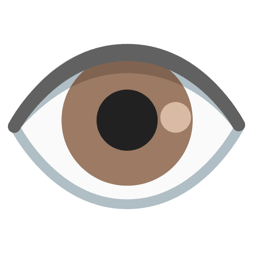 Google 👁️