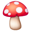 Samsung 🍄
