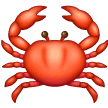 Samsung 🦀