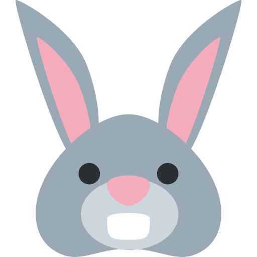 Twitter 🐰