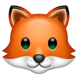 WhatsApp 🦊